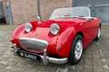 Austin-Healey Sprite MK1 Rot - thumbnail 8