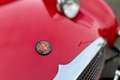 Austin-Healey Sprite MK1 Rot - thumbnail 2
