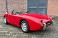 Austin-Healey Sprite MK1 Rot - thumbnail 4