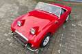 Austin-Healey Sprite MK1 Rot - thumbnail 3