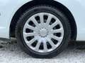 Ford Fiesta 5p 1.5 tdci Titanium 75cv - thumbnail 8