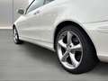 Mercedes-Benz CLK 350 Elegance NAVI XENON MEMORY Blanco - thumbnail 29
