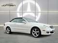 Mercedes-Benz CLK 350 Elegance NAVI XENON MEMORY Blanco - thumbnail 2