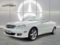 Mercedes-Benz CLK 350 Elegance NAVI XENON MEMORY Blanco - thumbnail 5