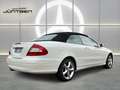 Mercedes-Benz CLK 350 Elegance NAVI XENON MEMORY Blanco - thumbnail 11