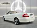 Mercedes-Benz CLK 350 Elegance NAVI XENON MEMORY Blanco - thumbnail 7