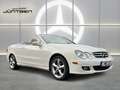 Mercedes-Benz CLK 350 Elegance NAVI XENON MEMORY Blanco - thumbnail 1