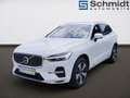 Volvo XC60 Plus, T6 AWD Plug-in Hybrid, Elektrisch/Benzin, Bright Blanc - thumbnail 2
