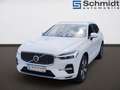 Volvo XC60 Plus, T6 AWD Plug-in Hybrid, Elektrisch/Benzin, Bright Blanc - thumbnail 1