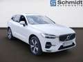 Volvo XC60 Plus, T6 AWD Plug-in Hybrid, Elektrisch/Benzin, Bright Blanc - thumbnail 18