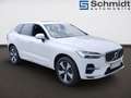 Volvo XC60 Plus, T6 AWD Plug-in Hybrid, Elektrisch/Benzin, Bright Blanc - thumbnail 17