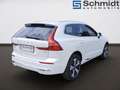 Volvo XC60 Plus, T6 AWD Plug-in Hybrid, Elektrisch/Benzin, Bright Blanc - thumbnail 16