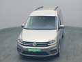 Volkswagen Caddy Maxi Comfortline 130PS /Klima Beige - thumbnail 49
