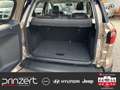 Ford EcoSport 1.0 EcoBoost AT6 "Titanium" Sound*Winter-Paket Beige - thumbnail 14