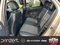 Ford EcoSport 1.0 EcoBoost AT6 "Titanium" Sound*Winter-Paket Beige - thumbnail 13