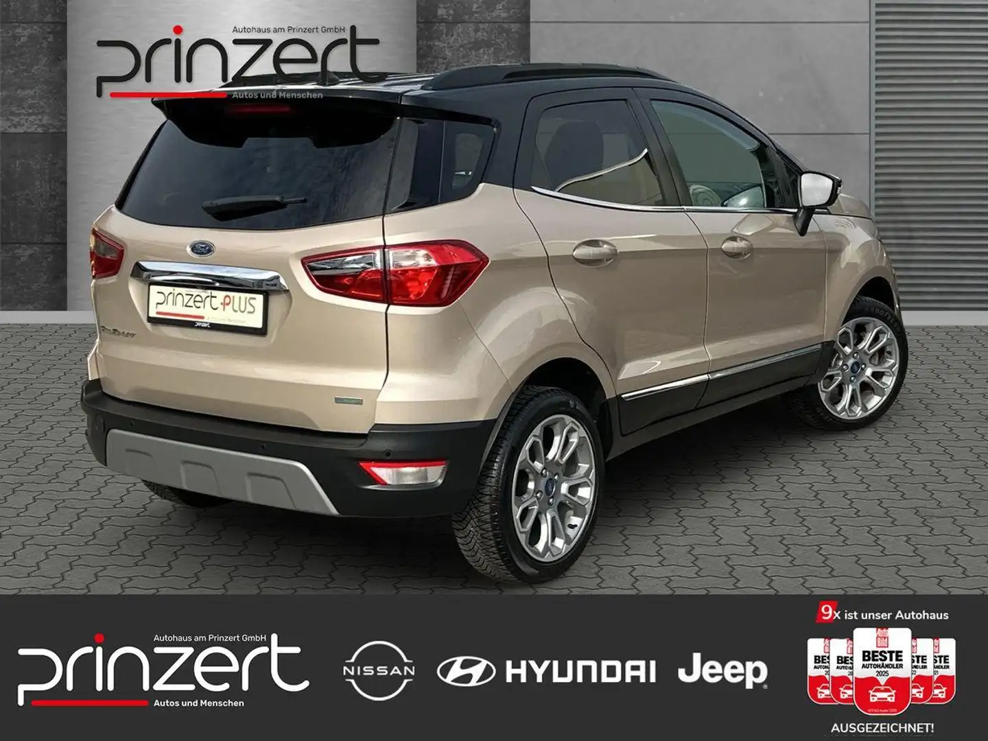 Ford EcoSport 1.0 EcoBoost AT6 "Titanium" Sound*Winter-Paket Beige - 2