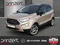 Ford EcoSport 1.0 EcoBoost AT6 "Titanium" Sound*Winter-Paket Beige - thumbnail 1