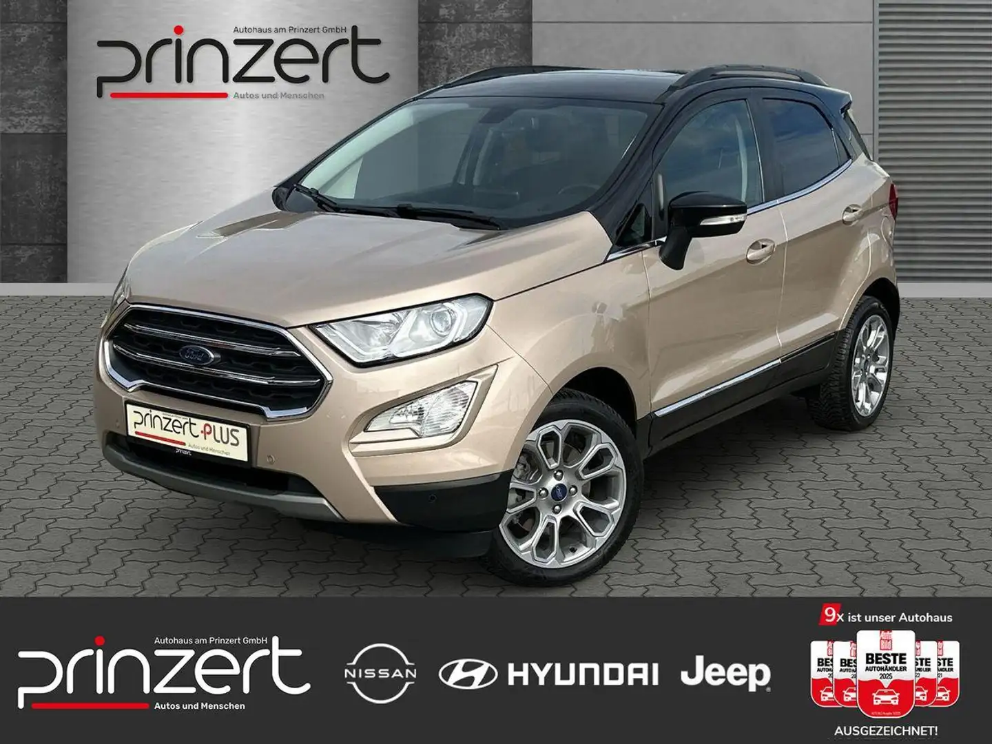 Ford EcoSport 1.0 EcoBoost AT6 "Titanium" Sound*Winter-Paket Beige - 1
