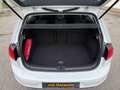 Volkswagen Golf Golf VII 1.2 TSI Rabbit BMT Weiß - thumbnail 12