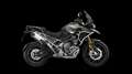 Triumph Tiger 1200 RALLY EXPLORER 2026 SOFORT LIEFERBAR Beige - thumbnail 6