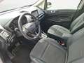 Ford EcoSport 1,0 EcoBoost Titanium Aut.| +Anhängekupplung Silber - thumbnail 14