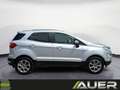 Ford EcoSport 1,0 EcoBoost Titanium Aut.| +Anhängekupplung Silber - thumbnail 10