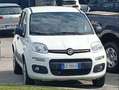 Fiat Panda 4X4 Twin Air 85 cv 6 Marce VAN Bianco - thumbnail 10