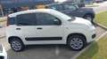 Fiat Panda 4X4 Twin Air 85 cv 6 Marce VAN Bianco - thumbnail 2