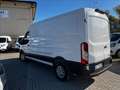 Ford Transit 330 2.0 tdci 130cv trend L3H2 E6.2 Alb - thumbnail 4