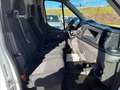 Ford Transit 330 2.0 tdci 130cv trend L3H2 E6.2 Alb - thumbnail 8