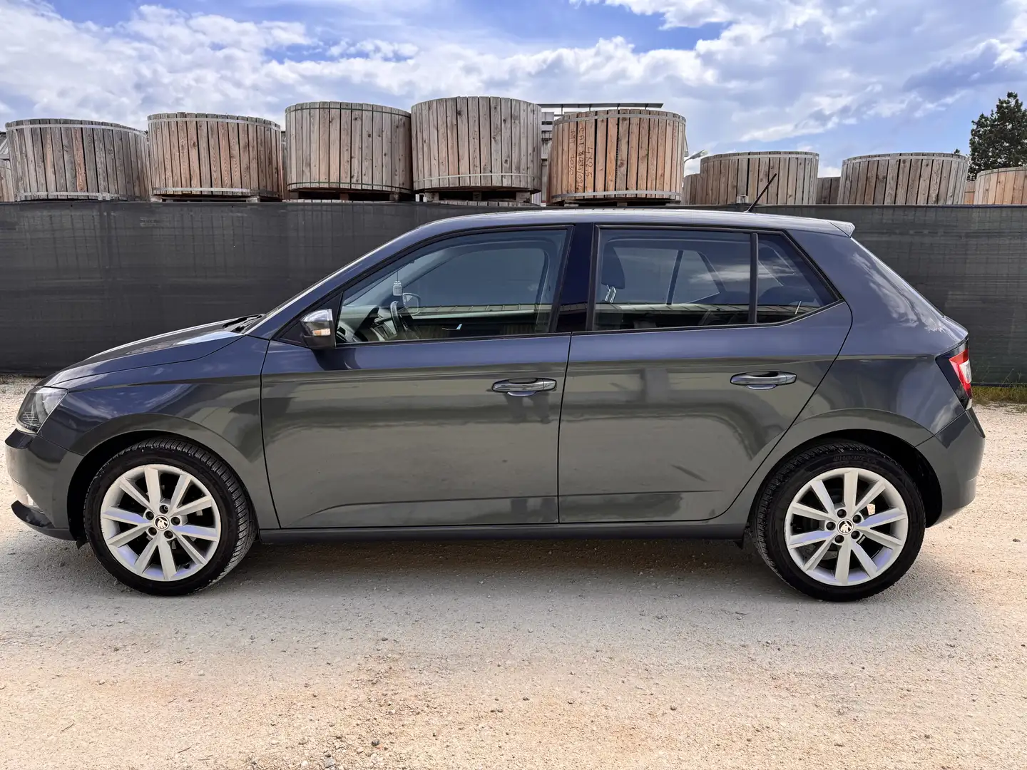 Skoda Fabia Allestimento Style - 2