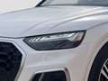 Audi Q5 35 TDI S line S tronic Blanco - thumbnail 12