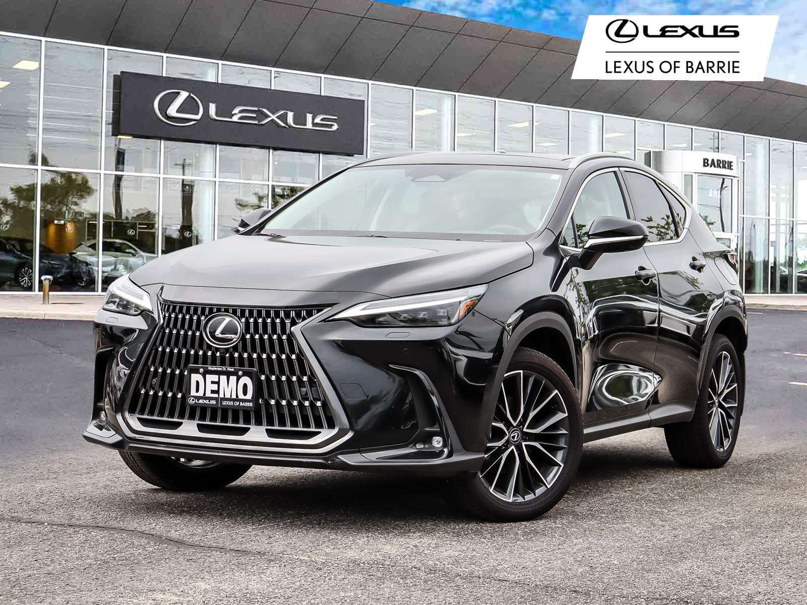 2024 Lexus NX NX 350