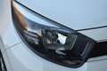 Kia Picanto 1.0 MPi DynamicLine | Camera | Carplay | Cruise Co Wit - thumbnail 26