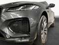 Jaguar F-Pace D300 AWD R-Dynamic SE 90th Anniversary Edit Grau - thumbnail 12