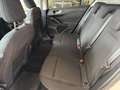 Ford Focus 1.5Ecoblue Trend+ 120 Blanco - thumbnail 6