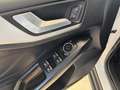 Ford Focus 1.5Ecoblue Trend+ 120 Blanco - thumbnail 23