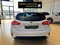 Ford Focus 1.5Ecoblue Trend+ 120 Blanco - thumbnail 17