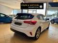 Ford Focus 1.5Ecoblue Trend+ 120 Blanco - thumbnail 20