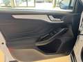 Ford Focus 1.5Ecoblue Trend+ 120 Blanco - thumbnail 22