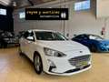 Ford Focus 1.5Ecoblue Trend+ 120 Blanco - thumbnail 2