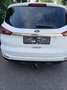 Ford S-Max S-MAX Titanium 2.0 TDCi Auto-Start/Stop Aut. Titanium Weiß - thumbnail 6