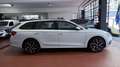 Skoda Octavia 1.4 TSI PLUG-IN HYBRYD EXECUTIVE DSG PREZZO REALE Bianco - thumbnail 4