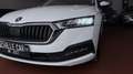 Skoda Octavia 1.4 TSI PLUG-IN HYBRYD EXECUTIVE DSG PREZZO REALE Bianco - thumbnail 36