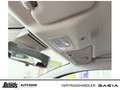 Dacia Sandero TCe 90 Expression Sitzheizung + Navi+ RKamera Grün - thumbnail 24