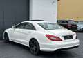 Mercedes-Benz CLS 350 CDI V6 BE*7G*DESIGNO*AMG*S-DACH*LEDER Weiß - thumbnail 17
