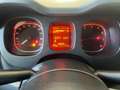Fiat Panda Panda 1.0 firefly hybrid City Life s&s 70cv 5p.ti Schwarz - thumbnail 8