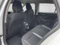 Skoda Scala 1.0 TSI DSG Selection ACC FLA SpurH LM Weiß - thumbnail 12