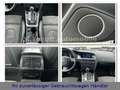 Audi A5 3.0 TDI S-TRONIC QUATTRO S-LINE Bleu - thumbnail 14