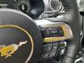 Ford Mustang Fastback 5.0 Ti-VCT Mach I Aut. Šedá - thumbnail 15